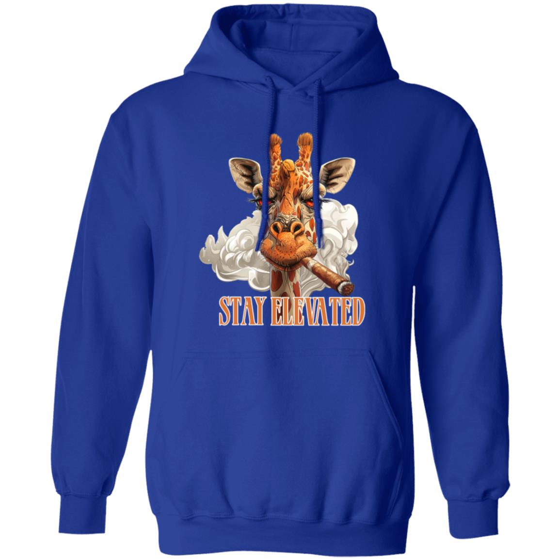 Pullover Hoodie Stay Elevated